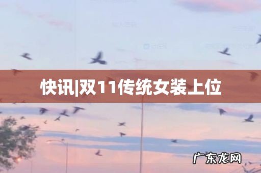快讯|双11传统女装上位