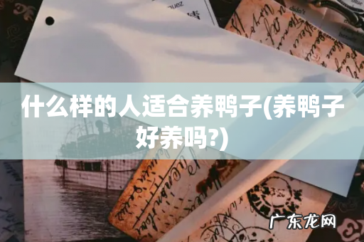养鸭子好养吗? 什么样的人适合养鸭子