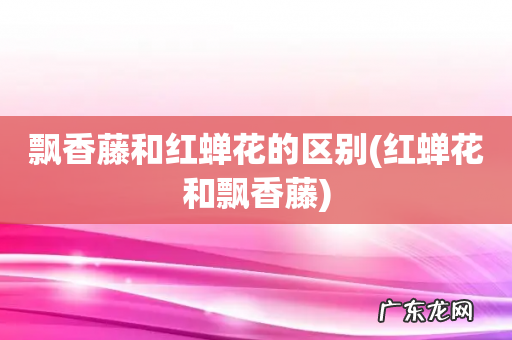 红蝉花和飘香藤 飘香藤和红蝉花的区别
