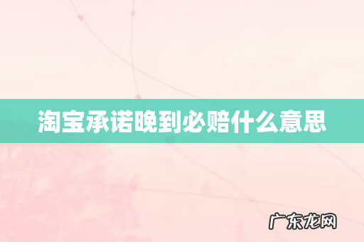 淘宝承诺晚到必赔什么意思