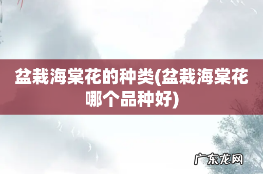 盆栽海棠花哪个品种好 盆栽海棠花的种类