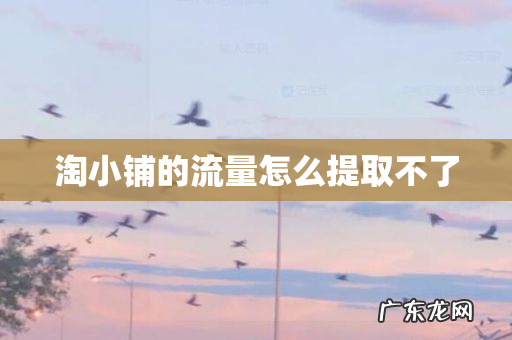 淘小铺的流量怎么提取不了