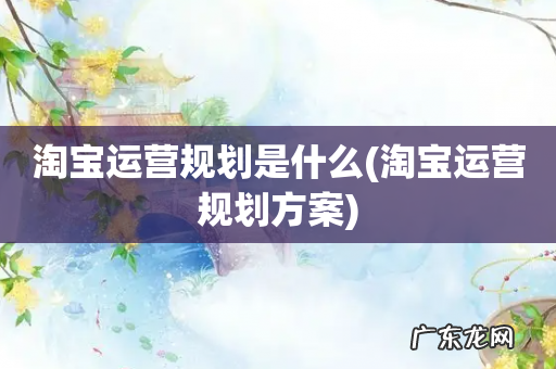 淘宝运营规划方案 淘宝运营规划是什么