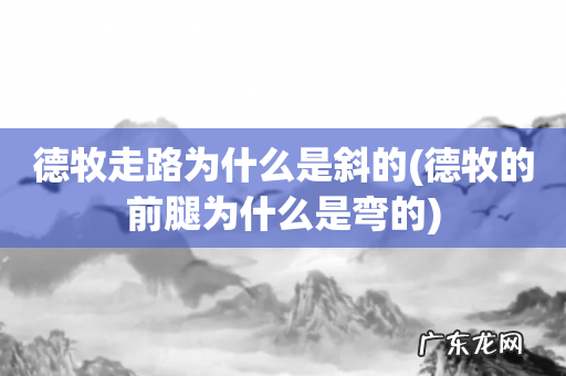 德牧的前腿为什么是弯的 德牧走路为什么是斜的