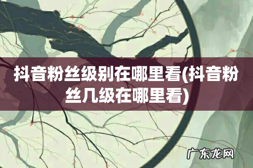 抖音粉丝几级在哪里看 抖音粉丝级别在哪里看