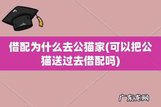 可以把公猫送过去借配吗 借配为什么去公猫家