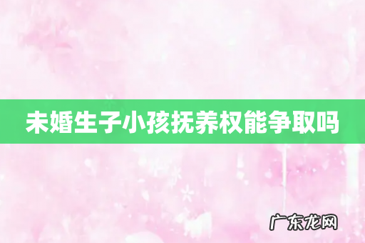 未婚生子小孩抚养权能争取吗