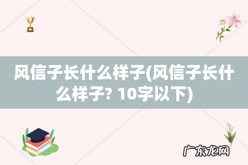 风信子长什么样子? 10字以下 风信子长什么样子