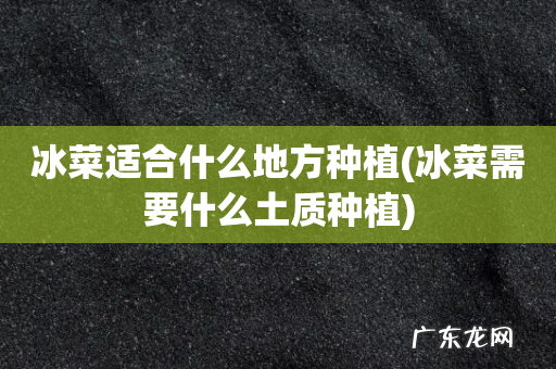 冰菜需要什么土质种植 冰菜适合什么地方种植