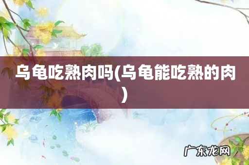 乌龟能吃熟的肉 乌龟吃熟肉吗