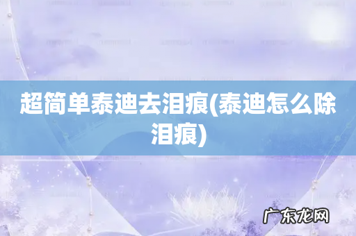 泰迪怎么除泪痕 超简单泰迪去泪痕