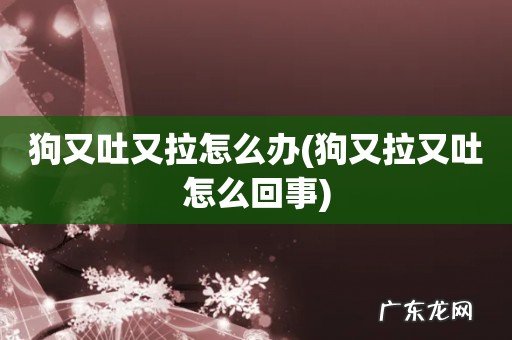 狗又拉又吐怎么回事 狗又吐又拉怎么办