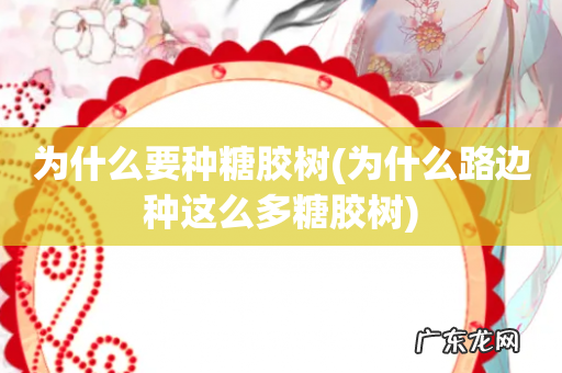 为什么路边种这么多糖胶树 为什么要种糖胶树