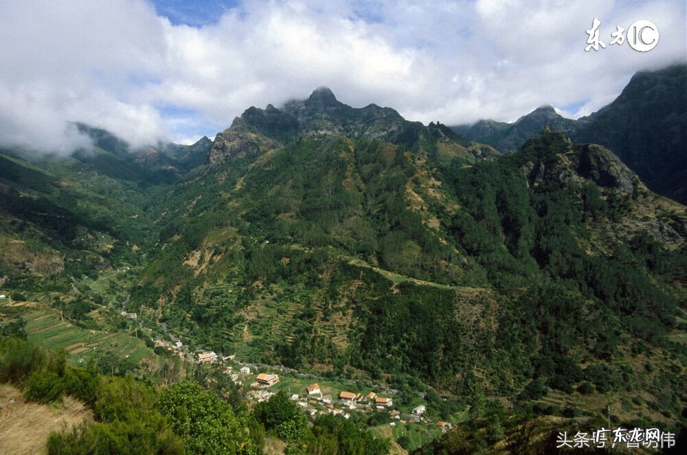 牛摆件牛头朝向 家里风水牛的牛头朝向
