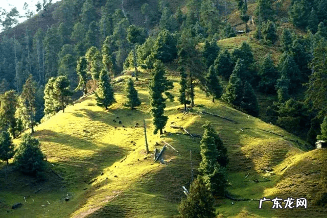 湘潭县云龙中学老师 风水大师云龙师傅