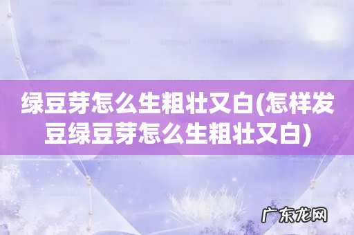 怎样发豆绿豆芽怎么生粗壮又白 绿豆芽怎么生粗壮又白