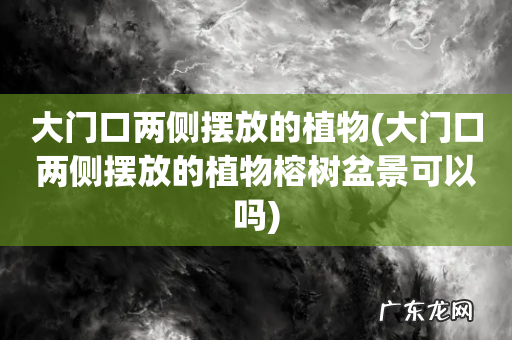 大门口两侧摆放的植物榕树盆景可以吗 大门口两侧摆放的植物
