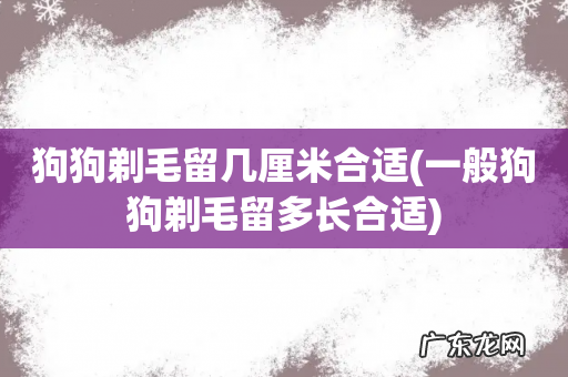 一般狗狗剃毛留多长合适 狗狗剃毛留几厘米合适