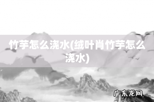 绒叶肖竹芋怎么浇水 竹芋怎么浇水