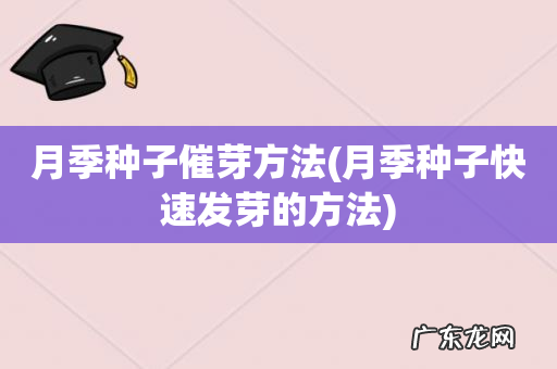 月季种子快速发芽的方法 月季种子催芽方法