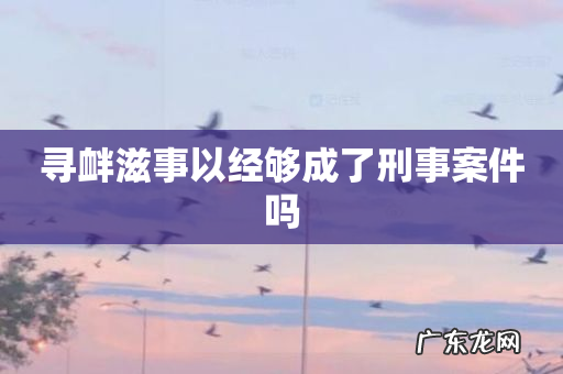 寻衅滋事以经够成了刑事案件吗