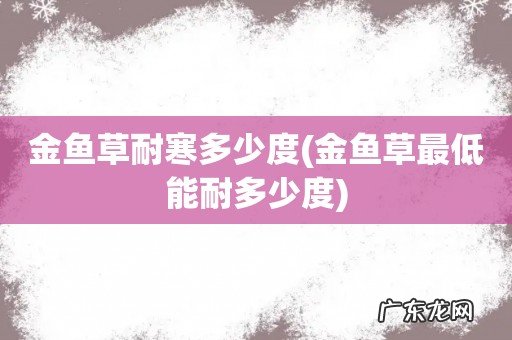 金鱼草最低能耐多少度 金鱼草耐寒多少度