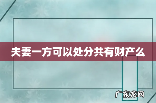 夫妻一方可以处分共有财产么