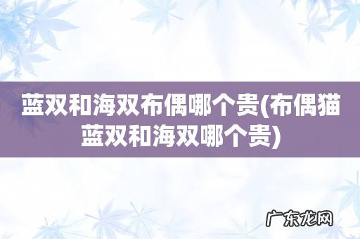 布偶猫蓝双和海双哪个贵 蓝双和海双布偶哪个贵
