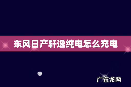 东风日产轩逸纯电怎么充电