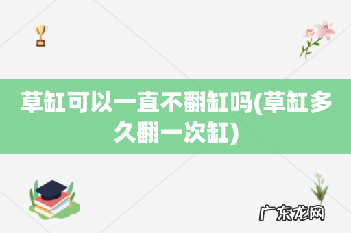 草缸多久翻一次缸 草缸可以一直不翻缸吗