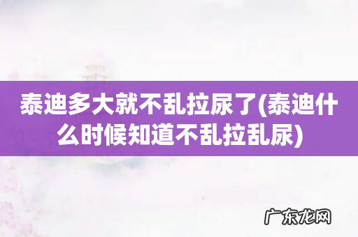 泰迪什么时候知道不乱拉乱尿 泰迪多大就不乱拉尿了