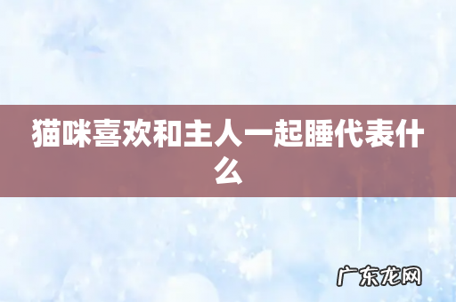 猫咪喜欢和主人一起睡代表什么