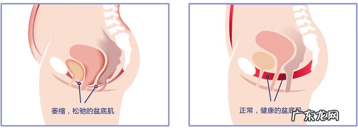 女的说玩pc是什么意思 男女pc是指什么