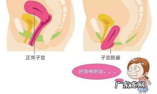 女的说玩pc是什么意思 男女pc是指什么