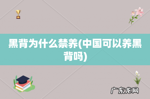 中国可以养黑背吗 黑背为什么禁养