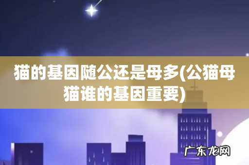 公猫母猫谁的基因重要 猫的基因随公还是母多