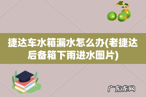 老捷达后备箱下雨进水图片 捷达车水箱漏水怎么办