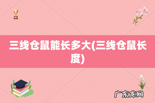 三线仓鼠长度 三线仓鼠能长多大