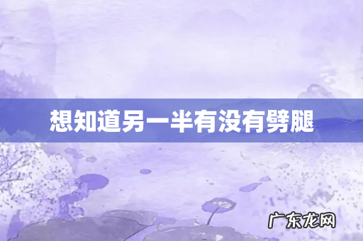 想知道另一半有没有劈腿