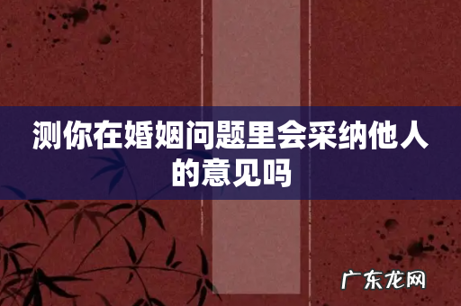 测你在婚姻问题里会采纳他人的意见吗