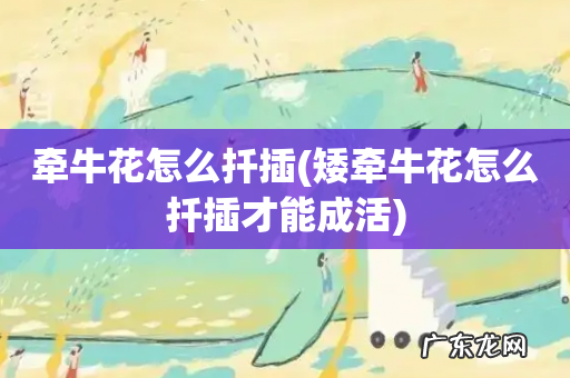 矮牵牛花怎么扦插才能成活 牵牛花怎么扦插