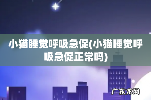 小猫睡觉呼吸急促正常吗 小猫睡觉呼吸急促