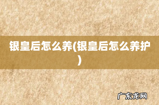 银皇后怎么养护 银皇后怎么养