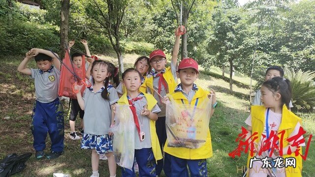 有关保护环境的图片 关于保护环境的图片