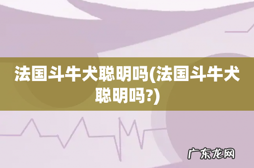 法国斗牛犬聪明吗? 法国斗牛犬聪明吗