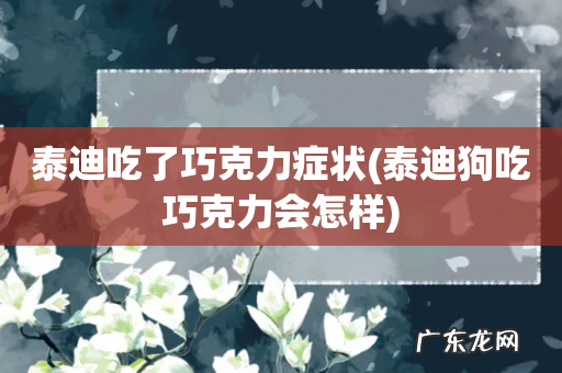 泰迪狗吃巧克力会怎样 泰迪吃了巧克力症状