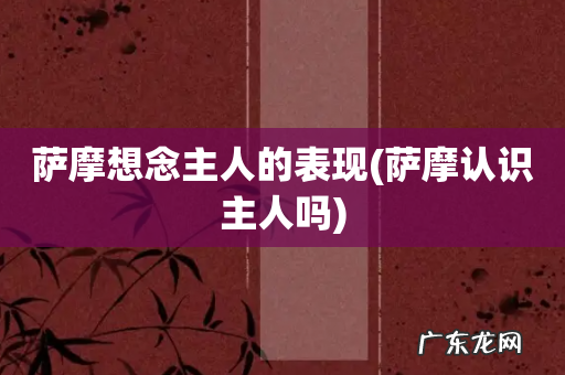 萨摩认识主人吗 萨摩想念主人的表现