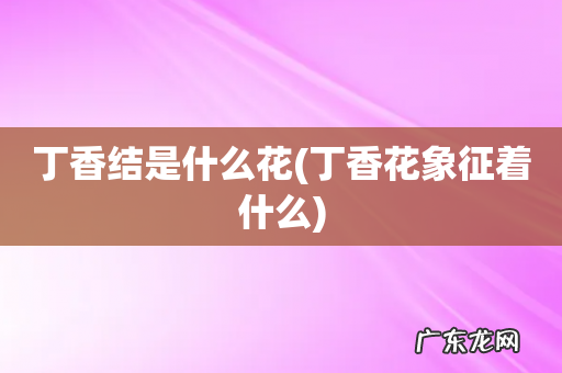 丁香花象征着什么 丁香结是什么花