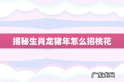 揭秘生肖龙猪年怎么招桃花