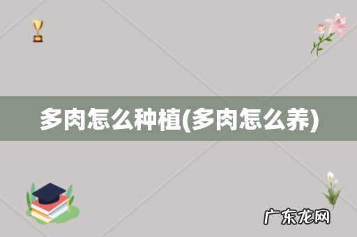 多肉怎么养 多肉怎么种植